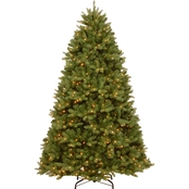 National Tree Company Newberry Spruce Tree with Dual Color LED Lights