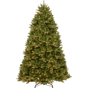 National Tree Company 5 ft. Newberry Spruce Tree with Clear Lights