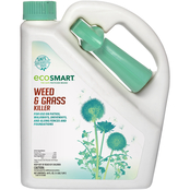 Eco Smart Natural Glyphosate Free Weed and Grass Killer RTU Spray Formula