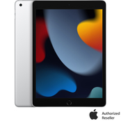 Apple iPad 10.2 in. 256GB with Wi-Fi
