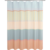 Allure Market Stripe Shower Curtain