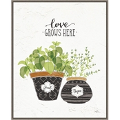 Amanti Art Fine Herbs V by Janelle Penner Framed Canvas Wall Art 22.5 x 27.75 in.
