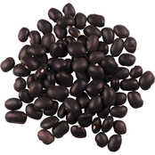 Edison Grainery Organic Black Beans 2 pk., 5 lb. each