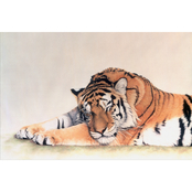 Inkstry Sleeping Tiger Wrapped Giclee Art