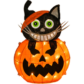 National Tree Company 23 in. Pre-Lit Pumpkin and Black Cat