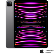 Apple 11 in. 2TB iPad Pro Wi-Fi Only