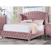 Furniture of America Zohar Padded Bed