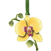ChemArt Orchid Ornament