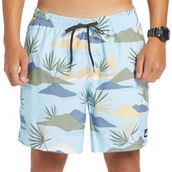 Quiksilver Everyday Mix Volley 17 Swim Shorts