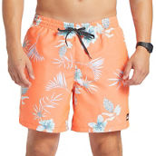 Quiksilver Everyday Mix 17 in. Volley Swim Shorts