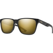 Smith Optics Lowdown 2 Steel Sunglasses 2056220865