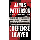 Defense Lawyer