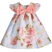 Bonnie Jean Baby Girls Bow Front Trapeze Dress