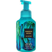 Bath & Body Works Turquoise Waters Gentle and Clean Foaming Soap