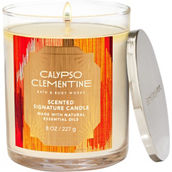 Bath & Body Works Calypso Clementine Single Wick Candle