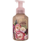 Bath & Body Works Chasing Daydreams Gentle and Clean Foaming Soap 8.75 oz.