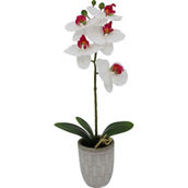 Mikasa Faux White and Pink Orchid in Rustic Pot