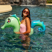 Pool Candy Seahorse Ride On Pool Noodle