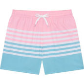 Chubbies On The Horizons 5.5 in. Lined Classic Swim Trunks