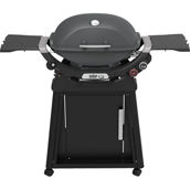 Q 2800N+ Gas Grill with Stand (Liquid Propane)
