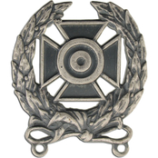 Army Badge, Regular Size Spec, Expert Shooting
