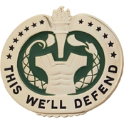 Army Badge Drill Sergeant 22K