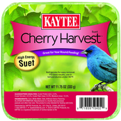 Kaytee Cherry Harvest Suet and Suet Dough Bird Food, 11.75 oz.