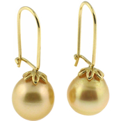 14K Yellow Gold Golden South Sea Cultured Pearl Earrings