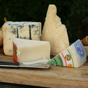The Gourmet Market Italian Cheeses Sampler 2 lb.