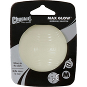 Petmate Chuckit! Max Glow Ball Medium Dog Toy