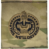 Army Drill Sergeant Badge Sew-On (OCP)