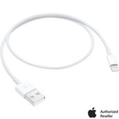 Apple Lightning to USB Cable (0.5M)