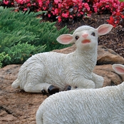 Design Toscano Yorkshire Lamb, Sitting