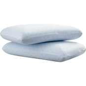 Arctic Sleep by Pure Rest Cool Blue Memory Foam Conventional Pillow