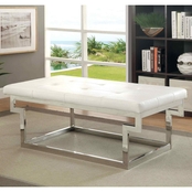 Furniture of America Enya Chrome Bench