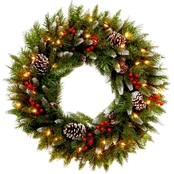 National Tree Co. 24 in. Frosted Berry Wreath with Clear Lights