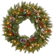 National Tree Co. 30 in. Frosted Berry Wreath with Clear Lights