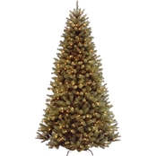 National Tree Company North Valley Spruce Tree with Clear Lights