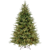 National Tree Company 7.5 ft. Frasier Grande Tree with Clear Lights