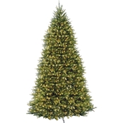 National Tree Company 10 ft. Dunhill Fir Tree with Clear Lights