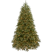 National Tree Company Jersey Fraser Fir Medium Tree with Clear Lights