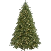 National Tree Company 9 ft. Jersey Fraser Fir Tree with Clear Lights
