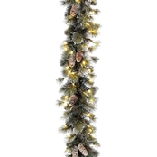 National Tree Co. 24 in. Glittery Pine Wreath with Clear Lights