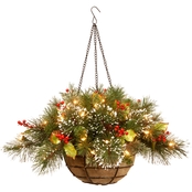 National Tree Company 20 In. Wintry Pine Hanging Basket
