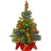 National Tree Co. 24 In. Majestic Fir Tree with Battery Operated Multicolor LED