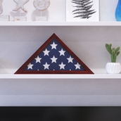 Flash Furniture Display Case for 9.5 x 5 Veteran Flag