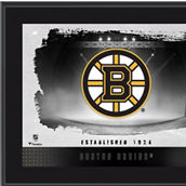 Fanatics Authentic Boston Bruins Fanatics Authentic 10.5