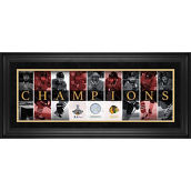 Fanatics Authentic Chicago Blackhawks 2015 Stanley Cup s Framed s Panoramic with Game-Used Net - Limited Edition of 199