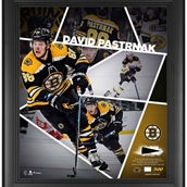 Fanatics Authentic David Pastrnak Boston Bruins Framed 15