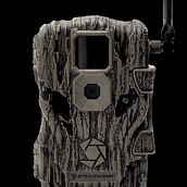 Stealth Cam Fusion Cellular – Global